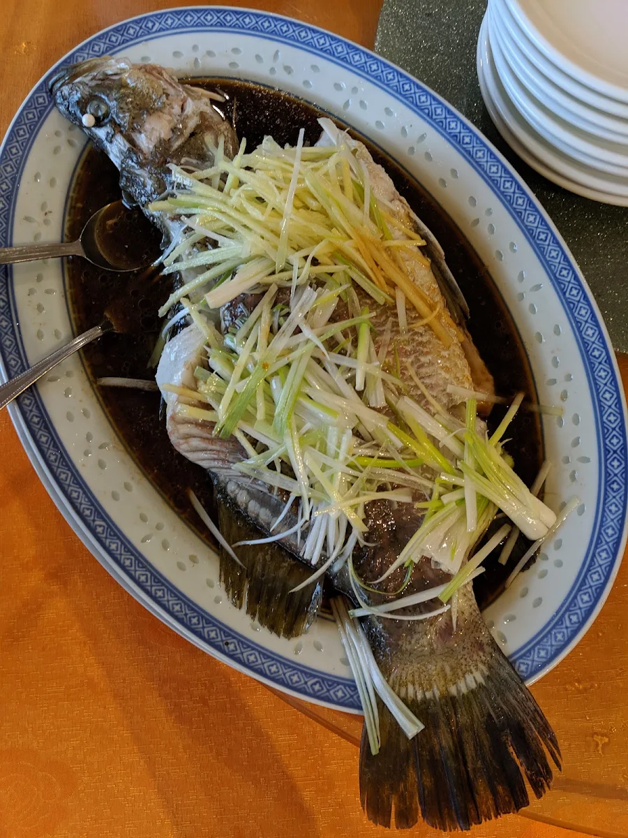 清蒸游水龙躉魚, Richport Chinese Restaurant